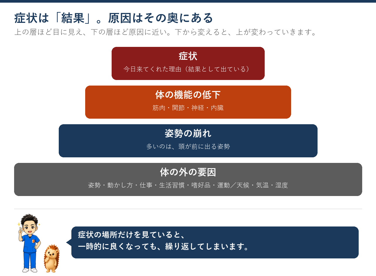 症状は結果。その奥に体の機能の低下、姿勢の崩れ、体の外の要因がある